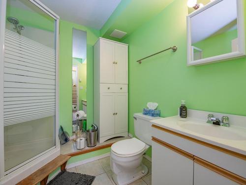 101 Kildonan Drive, Enderby, BC - Indoor Photo Showing Bathroom