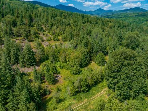 3150 Hanna Creek Road, Warfield, BC - Outdoor With View