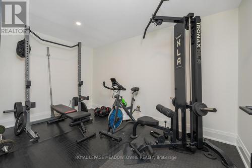 363 Albert St, Guelph/Eramosa, ON - Indoor Photo Showing Gym Room