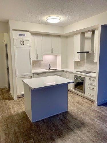 2093 Fairview Street|Unit #1704, Burlington, ON - Indoor Photo Showing Kitchen With Upgraded Kitchen