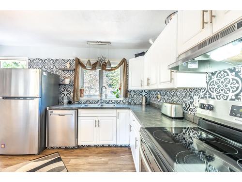 853 Birchmont Drive, Creston, BC - Indoor Photo Showing Kitchen With Double Sink