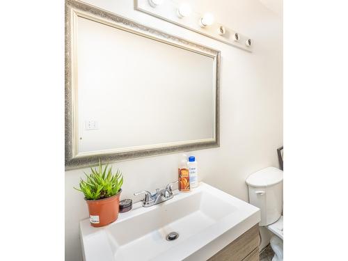 853 Birchmont Drive, Creston, BC - Indoor Photo Showing Bathroom