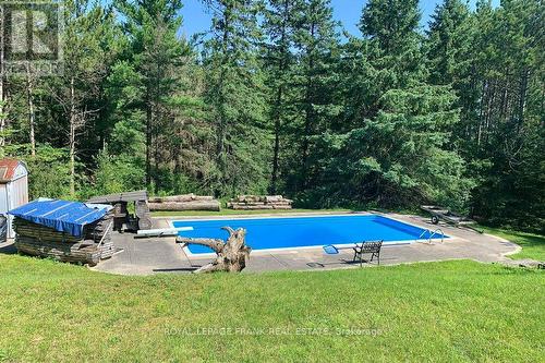 316 Wagg Rd, Uxbridge, ON - Outdoor With In Ground Pool With Backyard