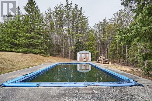 316 Wagg Rd, Uxbridge, ON - Outdoor With In Ground Pool With Backyard