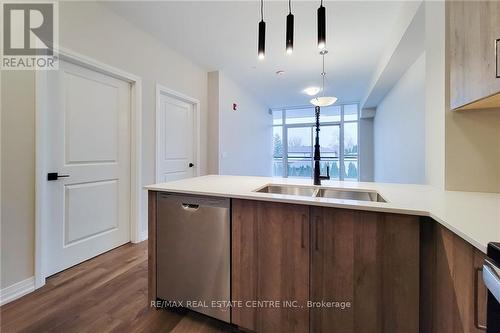 204 - 120 Spring Valley Road, Hamilton, ON - Indoor Photo Showing Kitchen With Double Sink