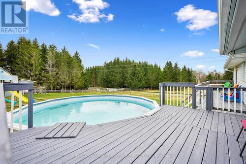 253 Peters Rd, Cramahe, ON - Outdoor With Above Ground Pool With Backyard