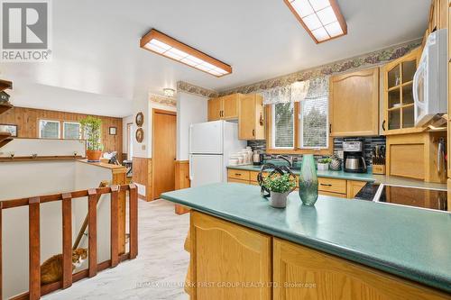 253 Peters Rd, Cramahe, ON - Indoor Photo Showing Kitchen