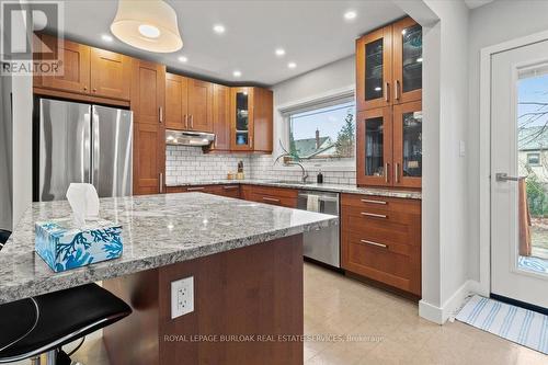 105 First St N, Hamilton, ON - Indoor Photo Showing Kitchen With Upgraded Kitchen