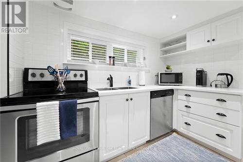 227 Green Street, Burlington (Brant), ON - Indoor Photo Showing Kitchen With Double Sink