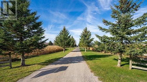 1792 Flos Road 7 West Rr2, Springwater, ON - Outdoor With View