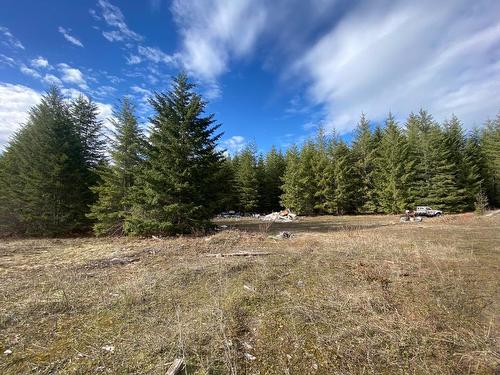 50 East Poirier Road, Mara, BC - Outdoor With View