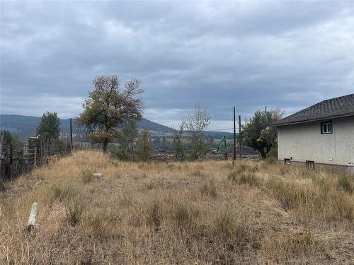 305 Portland Street, Princeton, BC - Outdoor With View