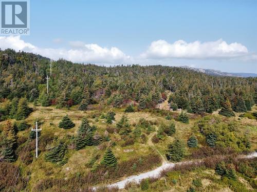 54 Muddy Hole Road, Spaniards Bay, NL 