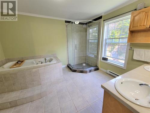 19 Prince Charles Road, Massey Drive, NL - Indoor Photo Showing Bathroom