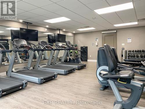 213 - 125 Shoreview Place, Hamilton, ON - Indoor Photo Showing Gym Room