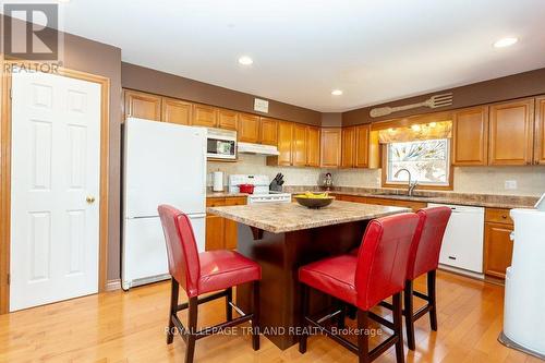 78 Parkview Dr, Thames Centre, ON - Indoor Photo Showing Kitchen