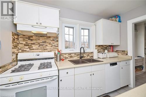 171 Geneva Street, St. Catharines, ON - Indoor Photo Showing Kitchen With Double Sink