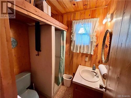 3232 Route 385, Riley Brook, NB - Indoor Photo Showing Bathroom
