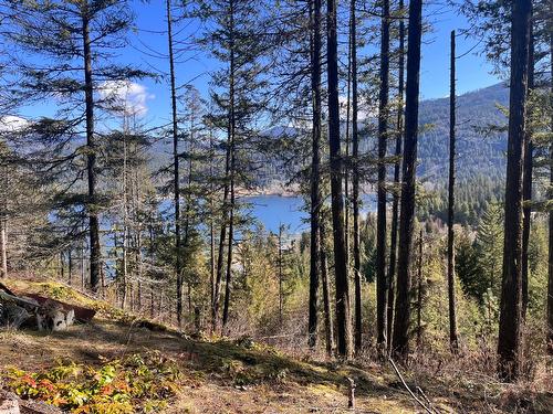 1614 Strome Road, Christina Lake, BC - Outdoor With View