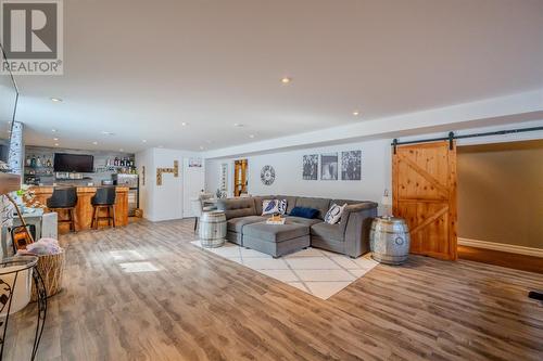 57 Masons Road, Avondale, NL - Indoor Photo Showing Living Room