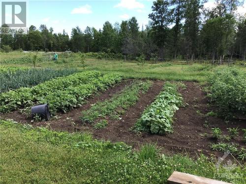 There is a large, existing organic garden plot on the property. - 5258 Murphy Road, Calabogie, ON - Outdoor