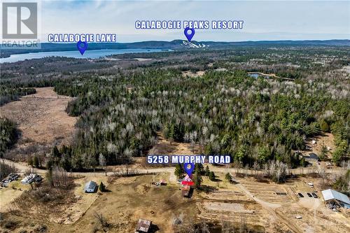 Close to lakes, rivers, and endless outdoor recreation. - 5258 Murphy Road, Calabogie, ON - Outdoor With View
