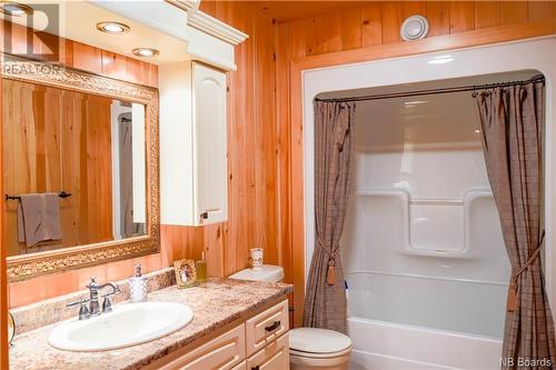 3234 Route 385, Riley Brook, NB - Indoor Photo Showing Bathroom