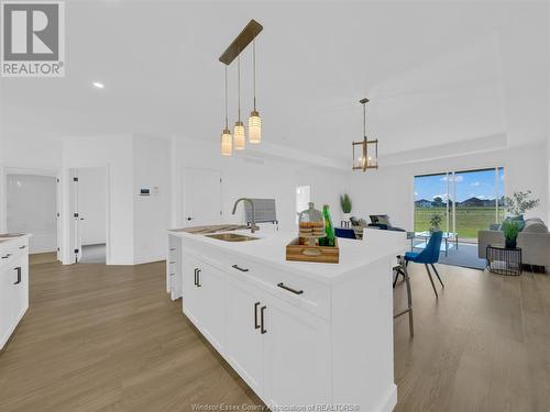 210 Mclellan Ave, Amherstburg, ON - Indoor Photo Showing Kitchen With Double Sink