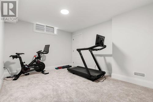 385 Caserta, Lakeshore, ON - Indoor Photo Showing Gym Room