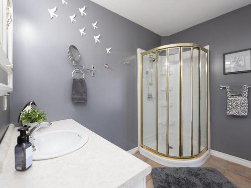 Salle de bains - 52 Ch. Du Lac-Charest, Grenville-Sur-La-Rouge, QC - Indoor Photo Showing Bathroom