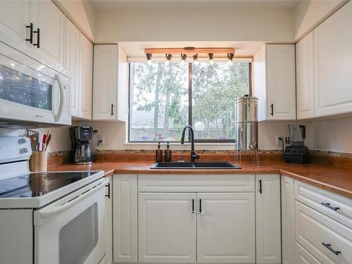 12-309 Moilliet St South, Parksville, BC - Indoor Photo Showing Kitchen With Double Sink