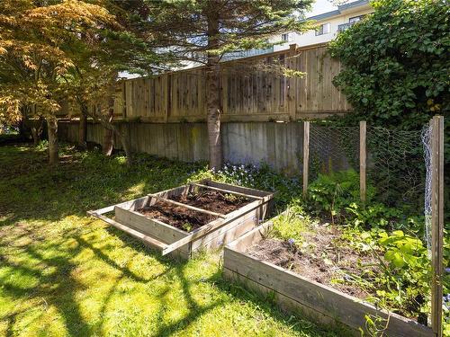 149 Rendall St, Victoria, BC - Outdoor With Backyard
