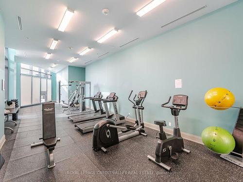 408-55 Yorkland Blvd, Brampton, ON - Indoor Photo Showing Gym Room