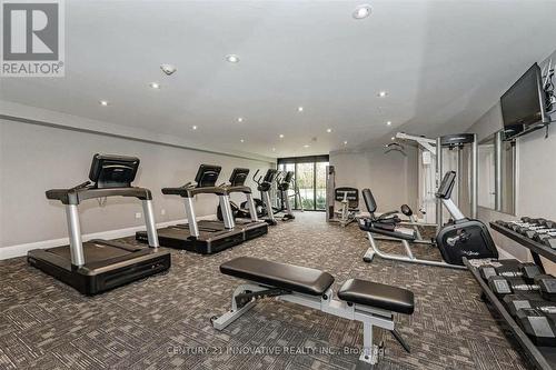 213 - 610 Farmstead Drive, Milton, ON - Indoor Photo Showing Gym Room