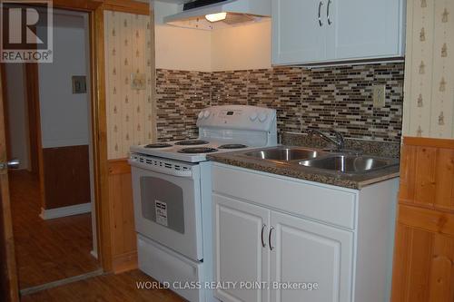 Lower - 378 Sugar Maple Lane, Richmond Hill, ON - Indoor Photo Showing Kitchen With Double Sink