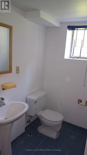 Lower - 378 Sugar Maple Lane, Richmond Hill, ON - Indoor Photo Showing Bathroom