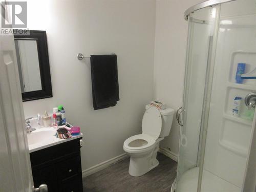 269 Main Street, Point Leamington, NL - Indoor Photo Showing Bathroom