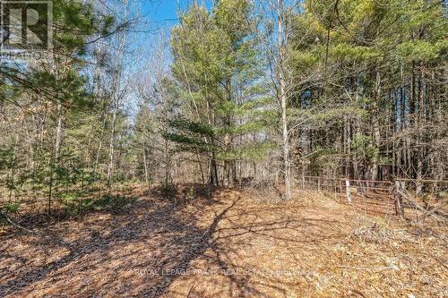 490 Baptist Church Road, Stirling-Rawdon, ON - Outdoor With View
