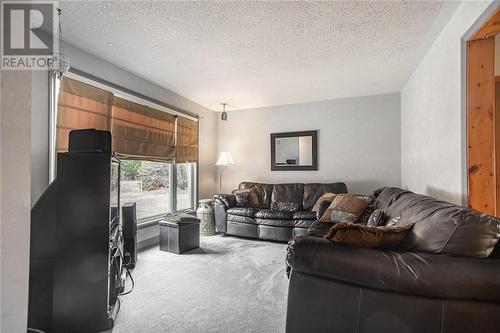 80 Mink Lake Road, Eganville, ON - Indoor Photo Showing Living Room