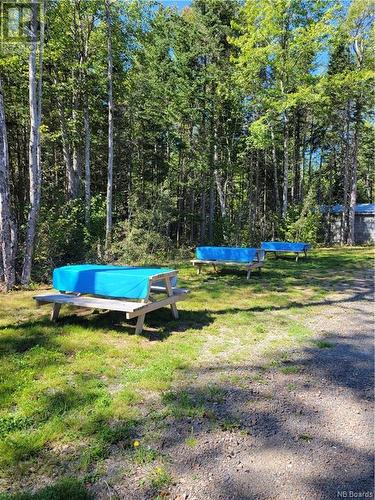 10965 Route 10, Youngs Cove, NB 