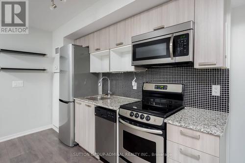 #512W -36 Lisgar St, Toronto, ON - Indoor Photo Showing Kitchen With Upgraded Kitchen