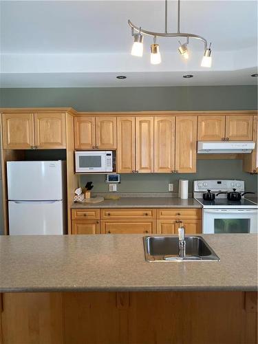 106 Conklin Street S, Crystal City, MB - Indoor Photo Showing Kitchen