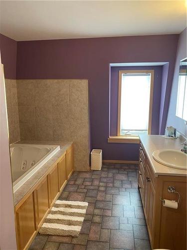 106 Conklin Street S, Crystal City, MB - Indoor Photo Showing Bathroom