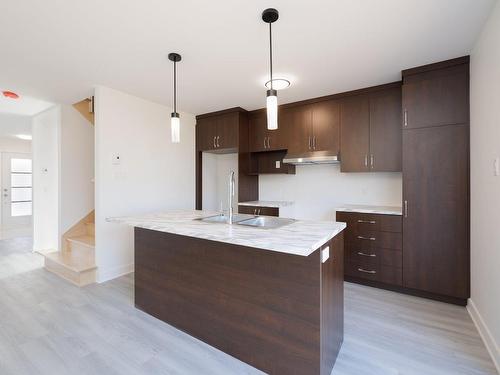 Cuisine - Rue Elsie, Salaberry-De-Valleyfield, QC - Indoor Photo Showing Kitchen With Double Sink