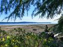 501 Arbutus Bay Rd, Fanny Bay, BC  - Outdoor With Body Of Water With View 