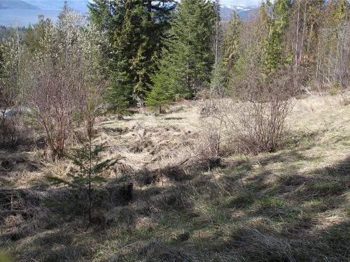 Lot 397 Aspen Road, Anglemont, BC - Outdoor With View