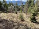 Lot 397 Aspen Road, Anglemont, BC  - Outdoor With View 