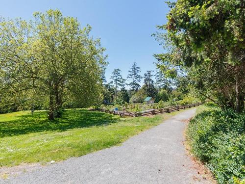 3154 Wascana St, Saanich, BC - Outdoor With View