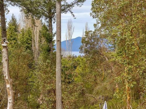 8410 Alec Rd, Central Saanich, BC - Outdoor With View