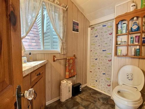 Bathroom - 148  - 149 Ch. Du Lac-Bolduc, Adstock, QC - Indoor Photo Showing Bathroom